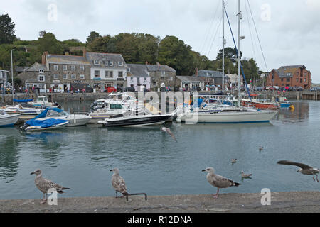 Hafen, Padstow, Cornwall, England, Großbritannien Stockfoto