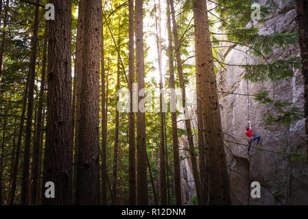 Kletterer Skalierung Felswand in der Nähe von Bäumen, Squamish, Kanada Stockfoto