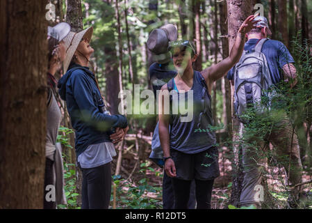 Freunde wandern im Wald, Johnstone Strait, Telegraph Cove, Kanada Stockfoto