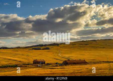 Ländliche Häuser im Grasland von Hulun Buir, der Inneren Mongolei, China im Herbst Stockfoto