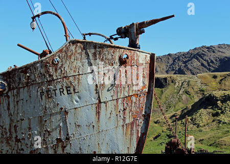 Die alte Walfang Schiff Petrel in Grytviken, South Georgia, South Atlantic, Sub-Antarctic. Es ist ein Museum hier. Sir Ernest Shackleton ist hier begraben Stockfoto