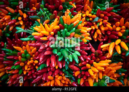 Trauben von Grün, Rot und Orange Chilis zum Verkauf auf dem Markt Stockfoto