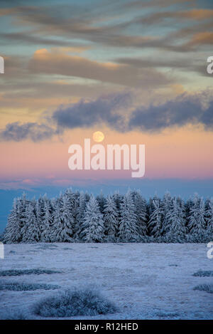 Sonnenuntergang auf einer Bergspitze - gefrorene Landschaft, lebhafte Farben, kalten Abend - Schneebedeckte Bäume unter sanften Mondlicht Stockfoto