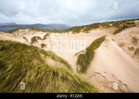 Ein Schlag in Sanddünen auf Farraid Kopf, in der Nähe von Durness, Sutherland, Schottland, UK. Stockfoto