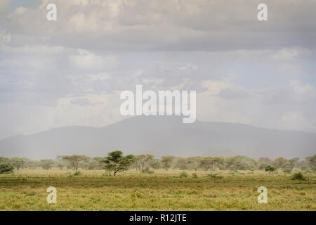 Ngorongoro Krater von den Ebenen in der Ngorongoro Conservation Area, Tansania gesehen. Stockfoto