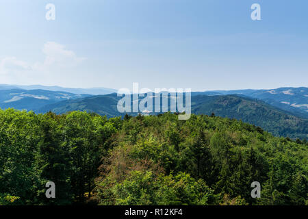 Deutschland, über Baumspitzen des Schwarzwald Bäume auf einem Berg Stockfoto