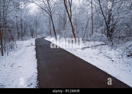 Ein Wintermärchen - ein Trail schlängelt sich durch eine verschneite Wälder in Clinton River Park, Sterling Heights, Michigan, USA Stockfoto