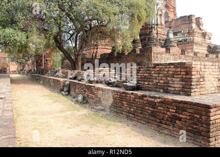 In einem buddhistischen Tempel (Wat Phra Ram) in Ayutthaya (Thailand). Stockfoto