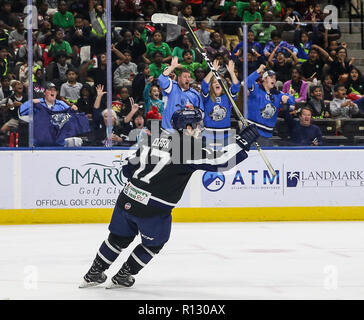ECHL 2018 Also... Carolina Stingrays gegen Jacksonville Eisgruben steigt: Jacksonville Eisgruben steigt vorwärts Everett Clark (17) feiert eine erste Periode Ziel von seinem Team gegen die South Carolina Stingrays in Professional Hockey am Veterans Memorial Arena in Jacksonville, Fla., Monday, November 8, 2018. Jacksonville gewann 4-1. (Gary Lloyd McCullough/Cal Sport Media) Stockfoto