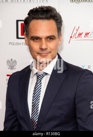 London, Großbritannien. 8. November 2018. Jan Wieczorkowski besucht die UK-Premiere von "303 Squadron" im Science Museum am 8. November 2018 in London, England Credit: Gary Mitchell, GMP-Media/Alamy leben Nachrichten Stockfoto