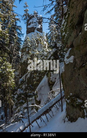 Sonnigen Wintertag im Schnee steinigen Boulder rock Blick in dunklen wilden Tannenwald. Malerische ungarischen Stein Felsen auf Skupova Berghang, Carpathia Stockfoto