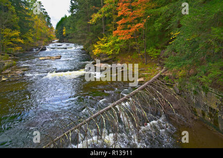 Wangaum fällt Pennsylvania in den Pocono Mountains Stockfoto