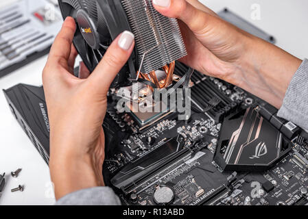 Der Spezialist installiert einen Kühler auf dem neuen Prozessor Ryzen 7 2700X vor dem Hintergrund einer computer Motherboard Asus rog Fadenkreuz vii Held. Stockfoto