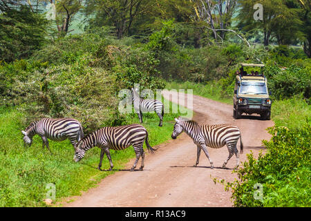 Arusha, Tansania - Januar 23, 2018 - Safari Fahrzeuge in der Ngorongoro Conservation Area (NCA), einem UNESCO-Weltkulturerbe im Krater Hoch Stockfoto