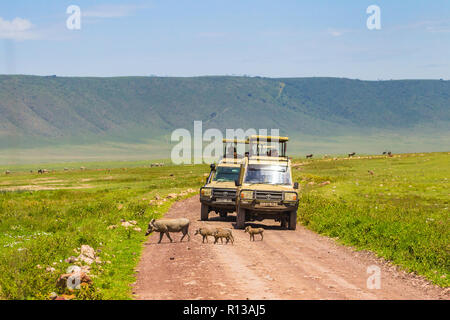 Arusha, Tansania - Januar 23, 2018 - Safari Fahrzeuge in der Ngorongoro Conservation Area (NCA), einem UNESCO-Weltkulturerbe im Krater Hoch Stockfoto