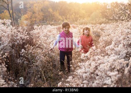 Glückliche Schwester Mädchen Spaziergänge in den Bereichen flauschige Löwenzahn bei Sonnenuntergang Stockfoto