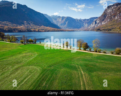 Lebendige Farben der Natur bei Bohijn See in Slowenien, drone Ansicht von oben. Stockfoto