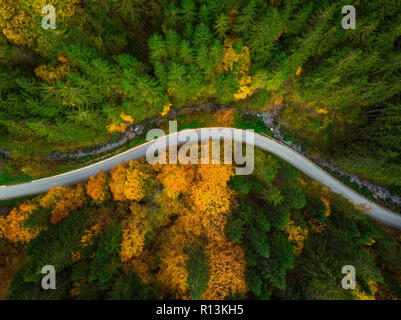 Die herbstlichen Wald, top-down-Drohne anzeigen. Stockfoto