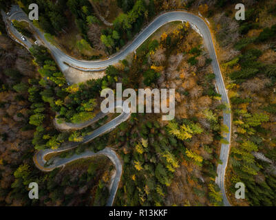 Kurvige Straße trog Herbst Wald, Luft von oben nach unten anzeigen. Stockfoto