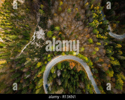 Kurvige Straße trog Herbst Wald, Luft von oben nach unten anzeigen. Stockfoto