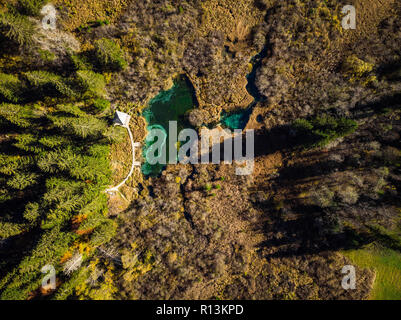 Bunte Zelenci Naturpark in Slowenien, Luftaufnahme im Herbst. Stockfoto