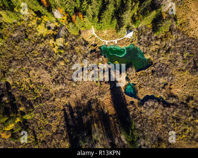 Magische Zelenci in Slowenien, von oben nach unten Blick in fallen. Stockfoto