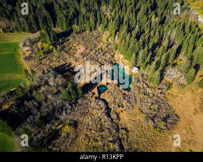 Herbst Trockenrasen im Naturschutzgebiet Zelenci, Slowenien. Antenne Drohne von oben nach unten anzeigen. Stockfoto