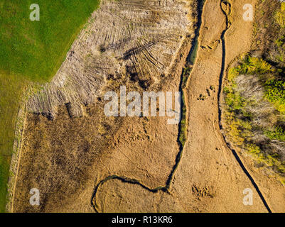 Herbst Trockenrasen im Naturschutzgebiet Zelenci, Slowenien. Antenne Drohne von oben nach unten anzeigen. Stockfoto