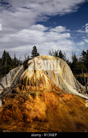 WY 03506-00 ... WYOMING - Orange Damm entlang der oberen Terrasse Drive in den Mammoth Hot Springs, Yellowstone National Park. Stockfoto