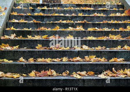 Granit Treppen mit gefallenen Ahorn Blätter im Herbst Park. Diese Treppe in der Sternwarte Pulkovo Park Stockfoto