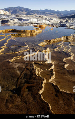 WY 03563-00 ... WYOMING - oberen Terrassen von Mammoth Hot Springs, Yellowstone National Park. Stockfoto