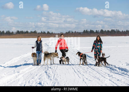 Drei glückliche Mädchen Besitzer spielen mit ihren Hunden im Winter Natur. Stockfoto