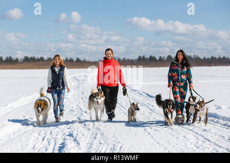 Drei glückliche Mädchen Besitzer spielen mit ihren Hunden im Winter Natur. Stockfoto