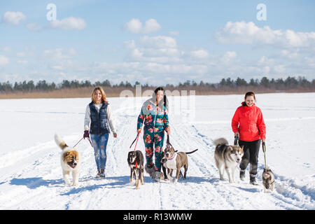 Drei glückliche Mädchen Besitzer spielen mit ihren Hunden im Winter Natur. Stockfoto