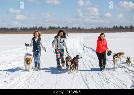 Drei glückliche Mädchen Besitzer spielen mit ihren Hunden im Winter Natur. Stockfoto