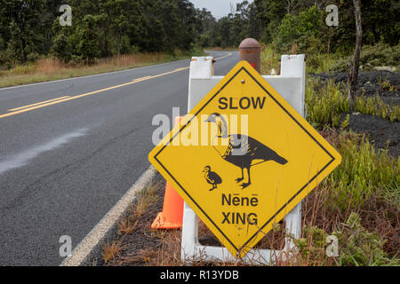 Hawaii Volcanoes National Park, Hawaii - ein Schild warnt Fahrer bewusst von Nene, die Hawaiian Goose. Die nene ist Hawaii State Bird. Es ist gefunden auf Stockfoto