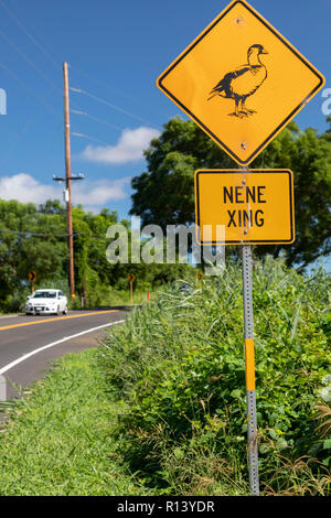 Puuanahulu, Hawaii - ein Schild warnt Fahrer bewusst von Nene, die Hawaiian Goose. Die nene ist Hawaii State Bird. Es ist nur in Hawaii gefunden und ist Stockfoto