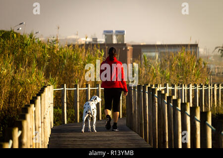 Frau und Dalmatiner Hund Spaziergang auf der Promenade inmitten der Vegetation. Rote Jacke. Ansicht von hinten Stockfoto