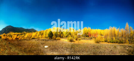 Panoramablick auf Herbst Espen in Summit County, Colorado Stockfoto