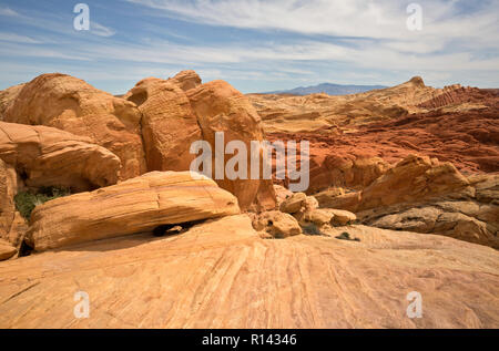 NV 00113-00 ... NEVADA - Blick von der Rainbow Vista Bereich in den Brand Canyon in der Valley of Fire State Park. Stockfoto