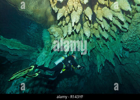 Taucher in der Chandelier Cave unter Stalagtiten, Palau, Mikronesien | Scuba diver Erkundung der Chandelier Cave, Palau, Mikronesien Stockfoto