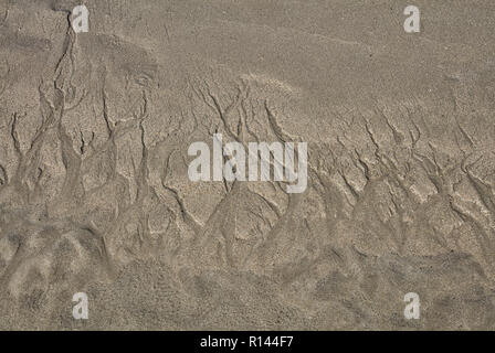 Der sand Texturen von Praia de Strand von Carnota, Galicia, Spanien Stockfoto