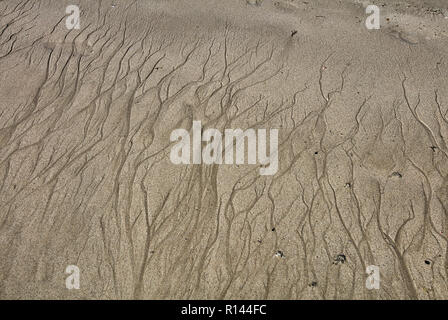 Der sand Texturen von Praia de Strand von Carnota, Galicia, Spanien Stockfoto