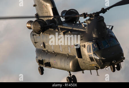 Chinook transport Militärhubschrauber Stockfoto