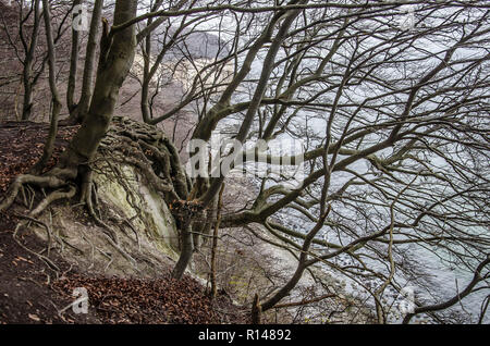 Rügen ist eine Insel, die nur aus der pommerschen Ostseeküste und ist die größte Insel in Deutschland mit mehr als 900 quadrat Km. Stockfoto