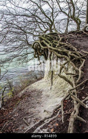 Rügen ist eine Insel, die nur aus der pommerschen Ostseeküste und ist die größte Insel in Deutschland mit mehr als 900 quadrat Km. Stockfoto