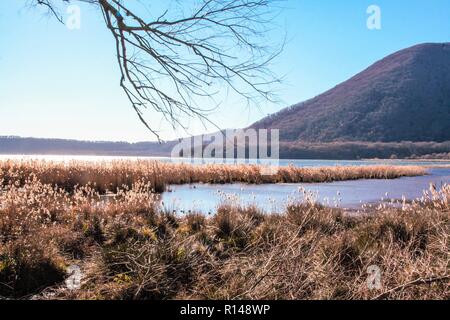 Naturschutzgebiet des Lago di Vico, Viterbo, Latium Italien Stockfoto