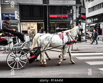 Wien, Österreich - November 1, 2018 - die Leute sind entspannend und besuchen die Stadt auf einer Pferdekutsche. Stockfoto