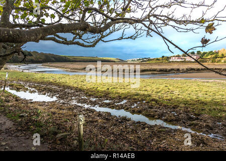 Die penpol Wanderweg Reitweg reitweg am Ufer des Fluss Gannel in Newquay in Cornwall. Stockfoto