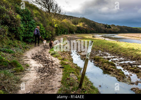 Eine hölzerne Marker Post auf dem penpol Wanderweg Reitweg reitweg am Ufer des Fluss Gannel in Newquay in Cornwall. Stockfoto